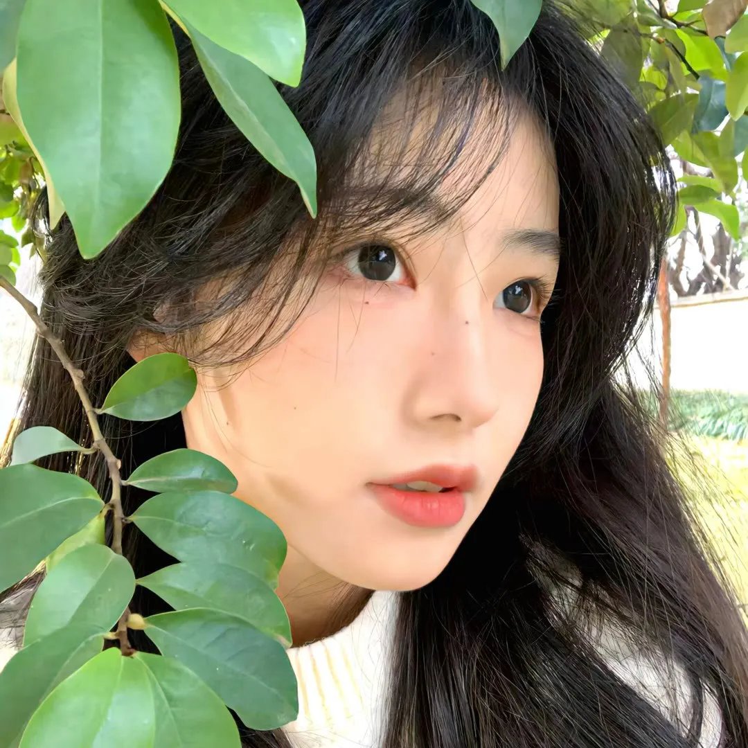 夺命追踪者